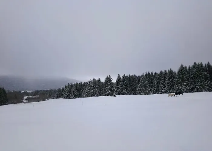 La Ferme Du Levant *