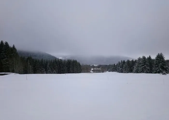 La Ferme Du Levant Gérardmer