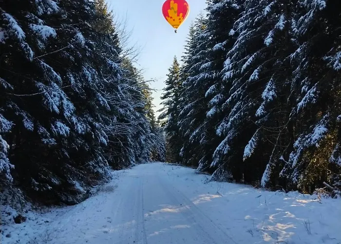 La Ferme Du Levant * Gérardmer
