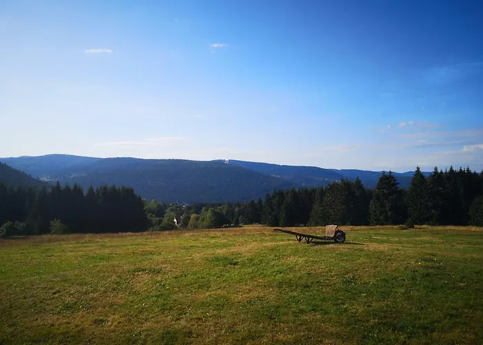 La Ferme Du Levant Hébergement de vacances Gérardmer
